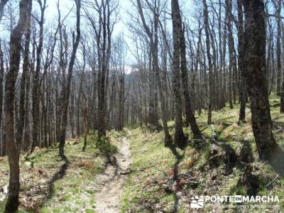 El Puerto del Reventón - San Ildefonso - Rascafria; viajes organizados